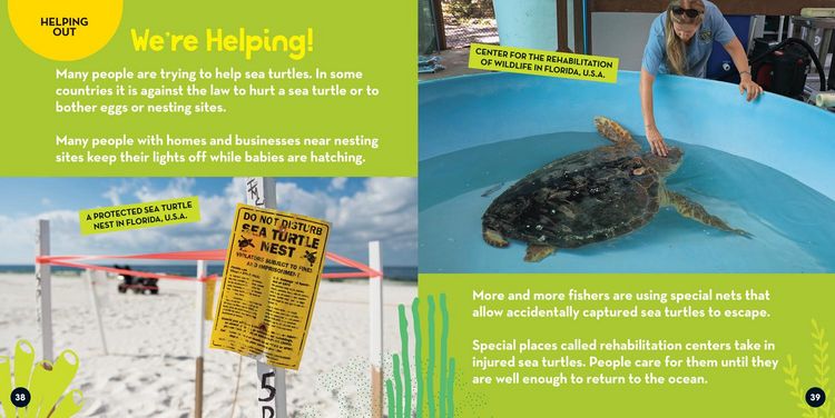 Produktbild: Go Wild! Sea Turtles