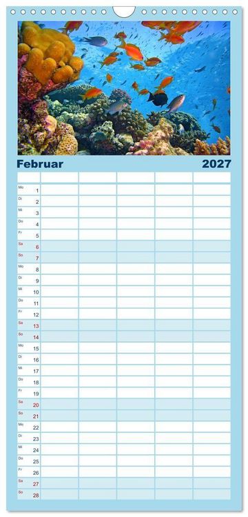 Produktbild: Familienplaner 2027 - Abenteuer Riff - bunte Unterwasserwelt mit 5 Spalten (Wandkalender, 21 x 45 cm) CALVENDO