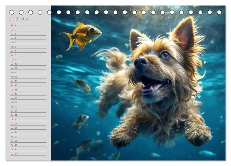 Produktbild: Chiens : les nageurs intr&eacute;pides (Calendrier de bureau 2026 DIN A5 vertical), CALVENDO calendrier mensuel