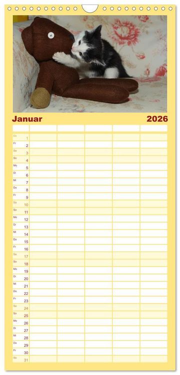 Produktbild: Familienplaner 2026 - Die Launen der Katzen 2026 mit 5 Spalten (Wandkalender, 21 x 45 cm) CALVENDO