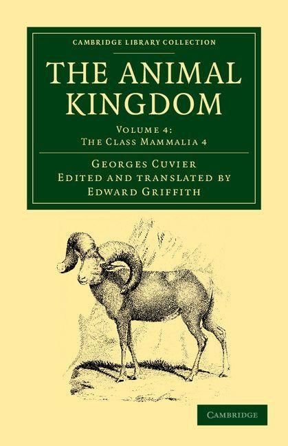 Produktbild: The Animal Kingdom - Volume 4