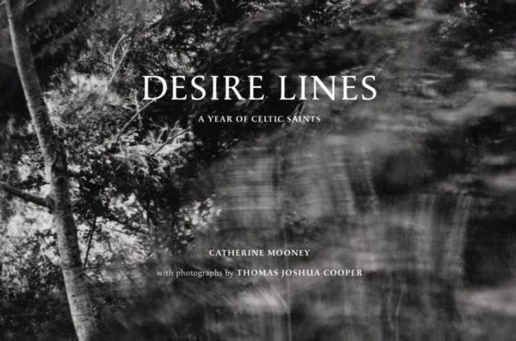 Produktbild: Desire Lines