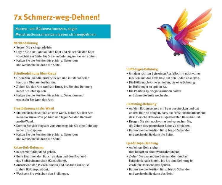Produktbild: Das Schmerz-weg-Buch