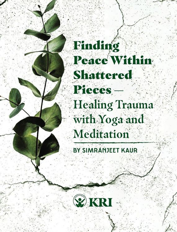 Produktbild: Finding Peace Within Shattered Pieces