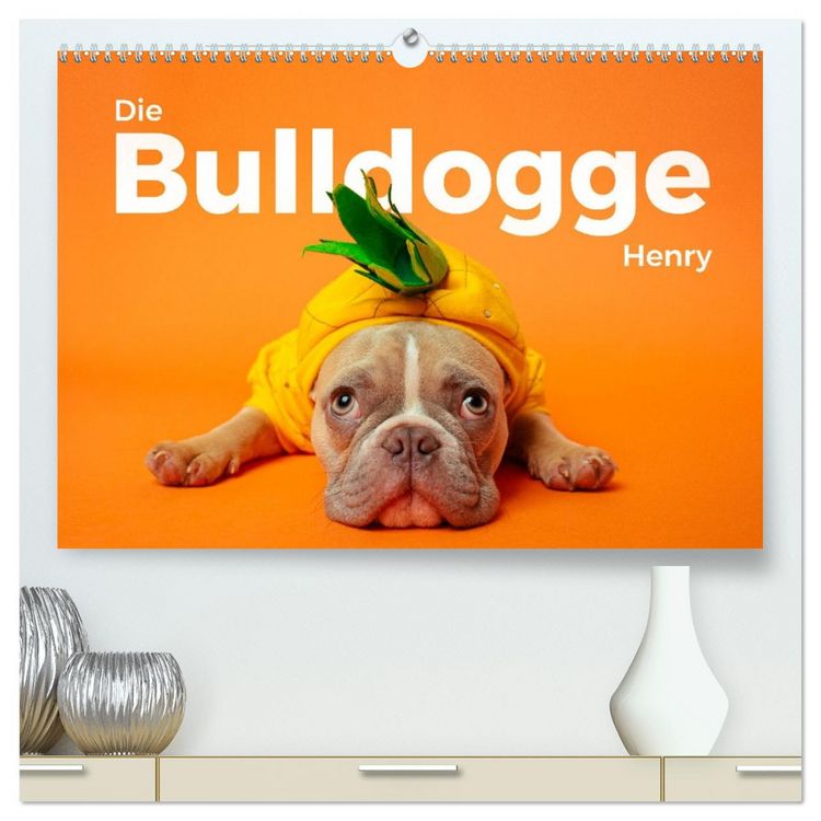Produktbild: Die Bulldogge Henry (hochwertiger Premium Wandkalender 2026 DIN A2 quer), Kunstdruck in Hochglanz