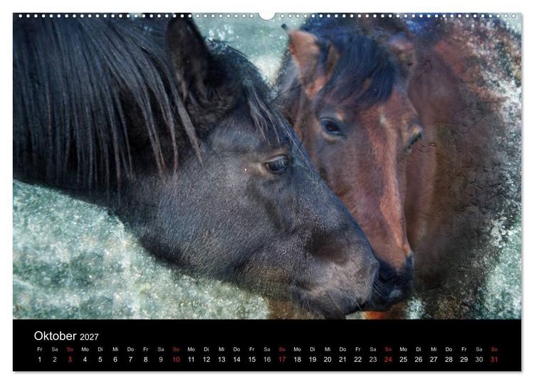 Produktbild: Pferde zum Tr&auml;umen (Wandkalender 2027 DIN A2 quer), CALVENDO Monatskalender