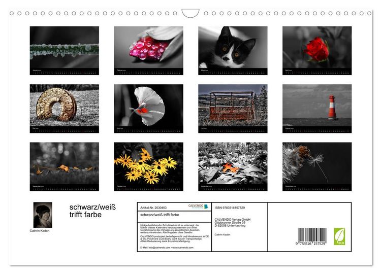 Produktbild: schwarz/wei&szlig; trifft farbe (Wandkalender 2026 DIN A3 quer), CALVENDO Monatskalender