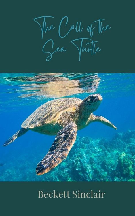 Produktbild: The Call of the Sea Turtle