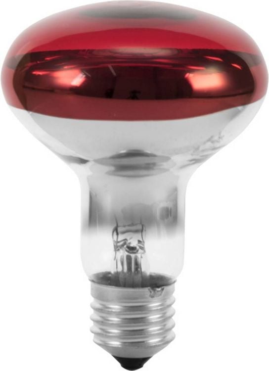 Produktbild: Eurolite 9210360U Gl&uuml;hlampe E27 Reflektor 60W Rot 1St.