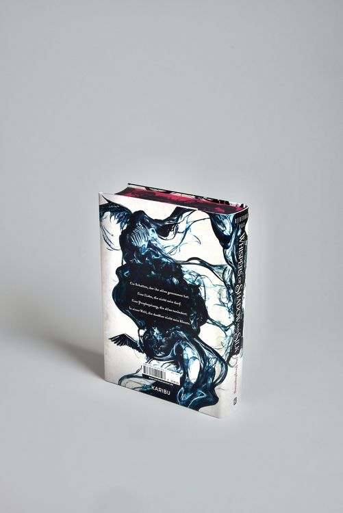 Produktbild: Whispers of Shadow and Silk (Band 1) &ndash; Die Prophezeiung