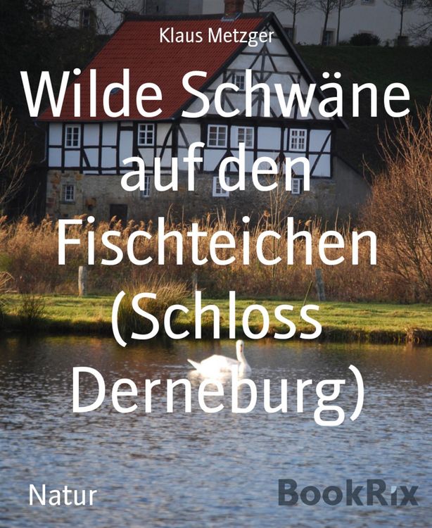Produktbild: Wilde Schw&auml;ne auf den Fischteichen (Schloss Derneburg)
