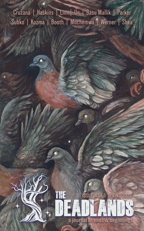 Produktbild: The Deadlands - Issue 38