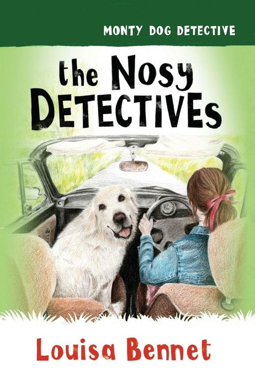 Produktbild: The Nosy Detectives