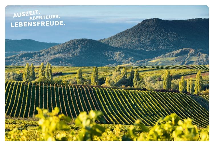 Produktbild: 52 kleine & große Eskapaden in der Pfalz