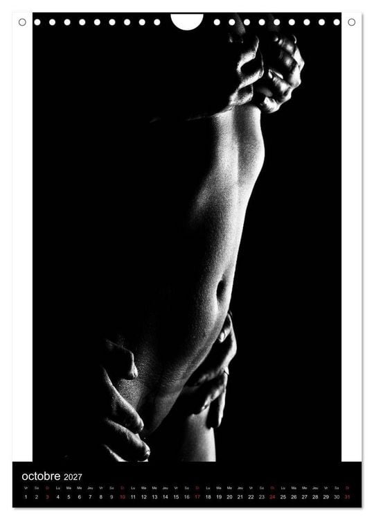 Produktbild: F&eacute;minit&eacute; (Calendrier mural 2027 DIN A4 horizontal), CALVENDO calendrier mensuel