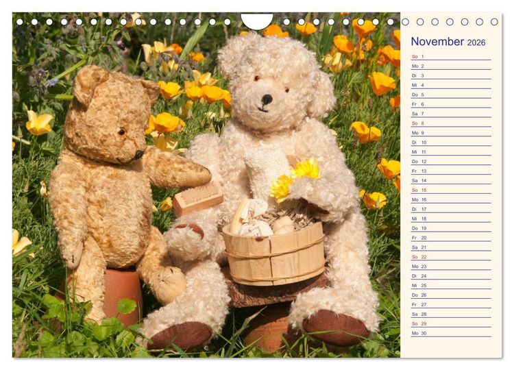 Produktbild: Geliebte B&auml;ren - Teddys (Wandkalender 2026 DIN A4 quer), CALVENDO Monatskalender