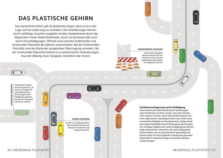 Produktbild: SIMPLY. Das Gehirn