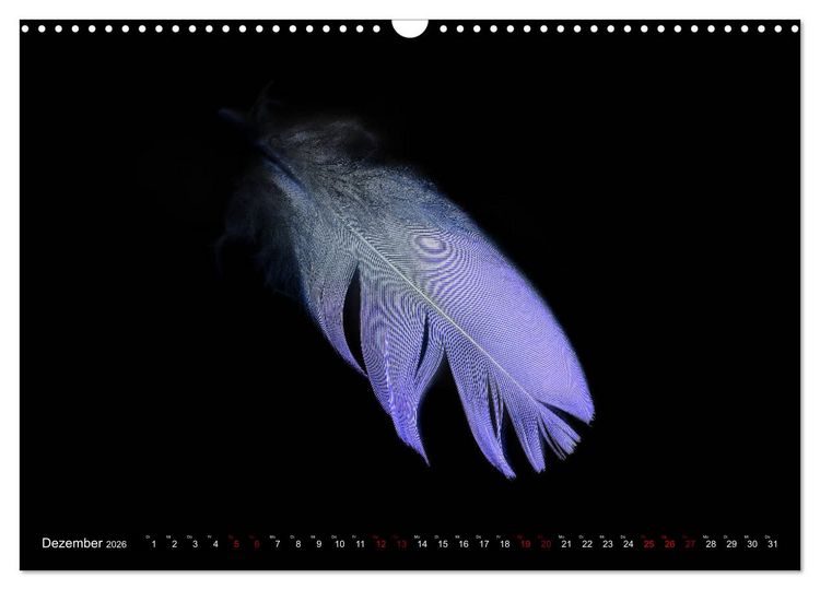 Produktbild: Federleichte Momente (Wandkalender 2026 DIN A3 quer), CALVENDO Monatskalender