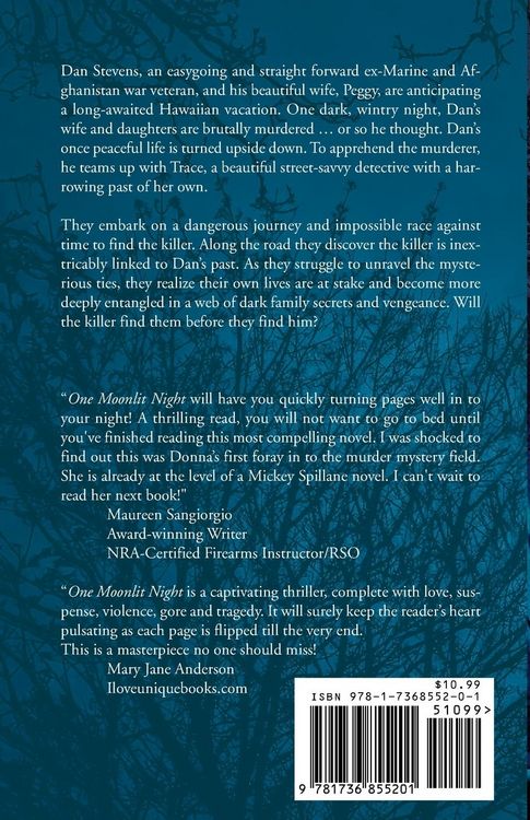 Produktbild: One Moonlit Night