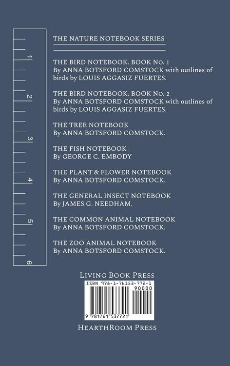 Produktbild: Notes on Birds 2