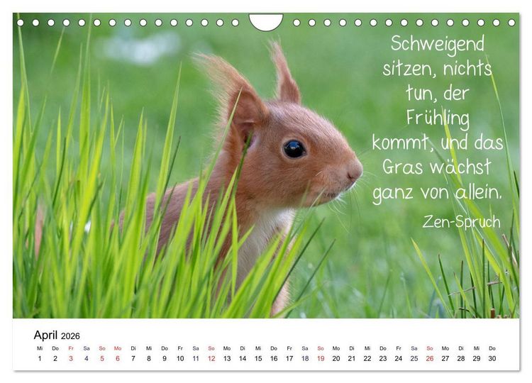 Produktbild: Der literarische Eichh&ouml;rnchen-Kalender (Wandkalender 2026 DIN A4 quer), CALVENDO Monatskalender