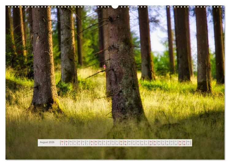 Produktbild: Traumhafte Waldstimmung am Rennsteig im Th&uuml;ringer Wald (hochwertiger Premium Wandkalender 2026 DIN A2 quer), Kunstdruck in Hochglanz