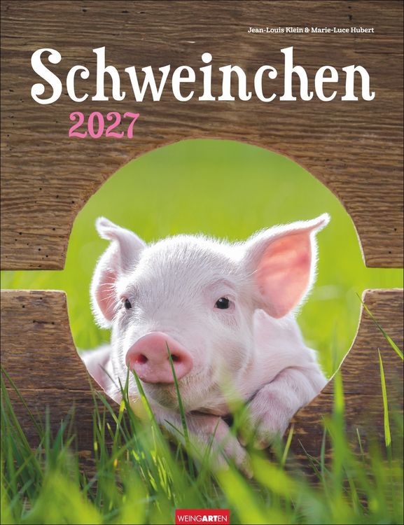 Produktbild: Schweinchen Kalender 2027