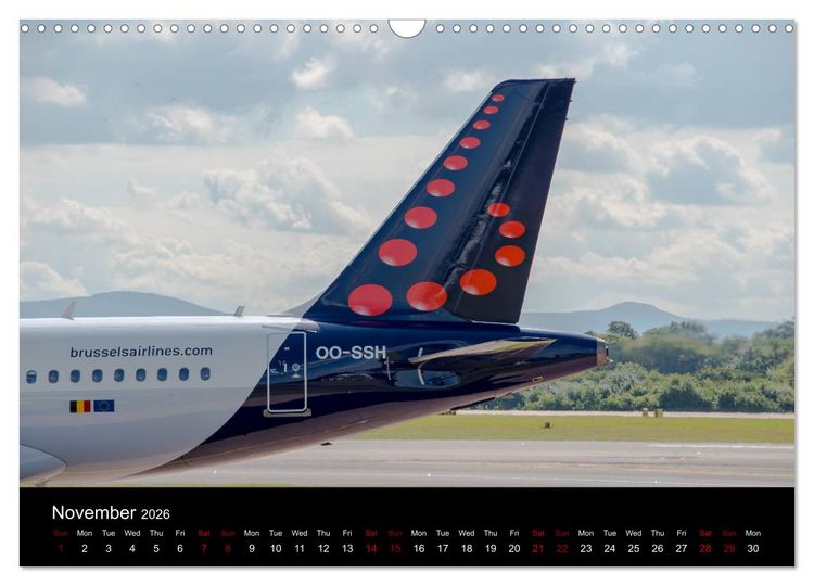Produktbild: Airline Tails (Wall Calendar 2026 DIN A3 landscape), CALVENDO 12 Month Wall Calendar