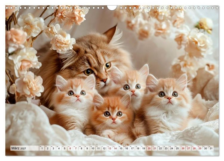 Produktbild: Kleine K&auml;tzchen - Ein Jahr voller Samtpfotenzauber (Wandkalender 2027 DIN A3 quer), CALVENDO Monatskalender