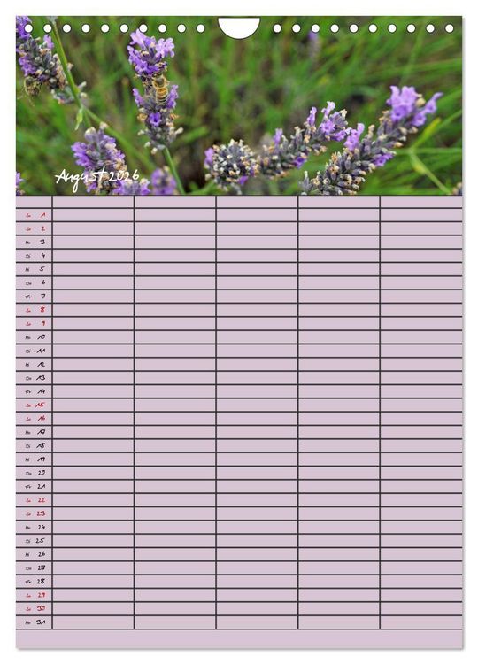 Produktbild: Naturzauber Lavendel - Familienplaner (Wandkalender 2026 DIN A4 hoch), CALVENDO Monatskalender