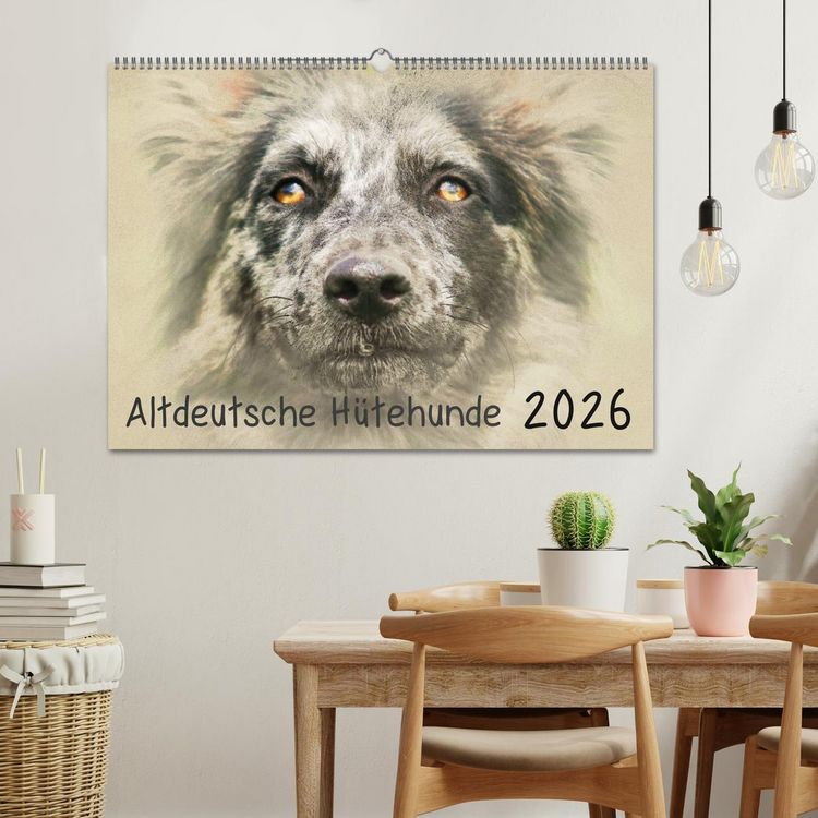Produktbild: Altdeutsche H&uuml;tehunde 2026 (Wandkalender 2026 DIN A2 quer), CALVENDO Monatskalender