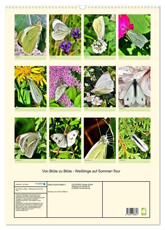 Produktbild: Von Bl&uuml;te zu Bl&uuml;te - Wei&szlig;linge auf Sommer-Tour (Wandkalender 2026 DIN A2 hoch), CALVENDO Monatskalender