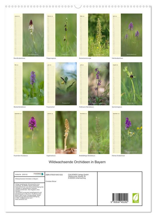 Produktbild: Wildwachsende Orchideen in Bayern (hochwertiger Premium Wandkalender 2026 DIN A2 hoch), Kunstdruck in Hochglanz