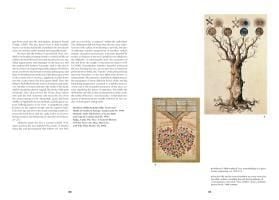 Produktbild: Das Buch der Symbole
