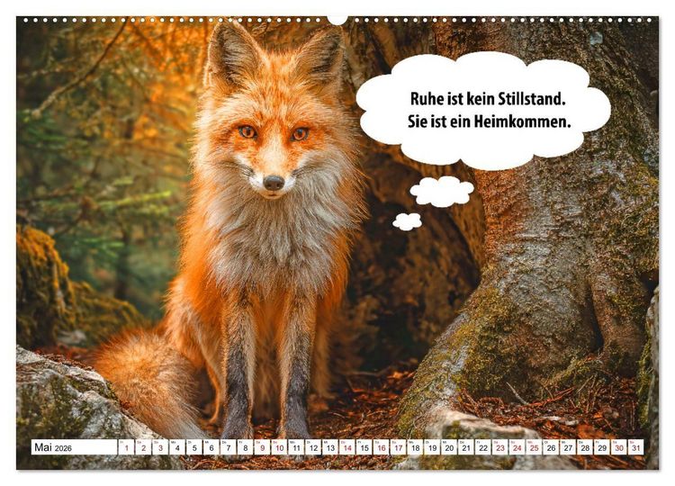 Produktbild: Stille Pfoten, weise Worte - Tiere zeigen dir den Weg zu mehr Gelassenheit (hochwertiger Premium Wandkalender 2026 DIN A2 quer), Kunstdruck in Hochglanz