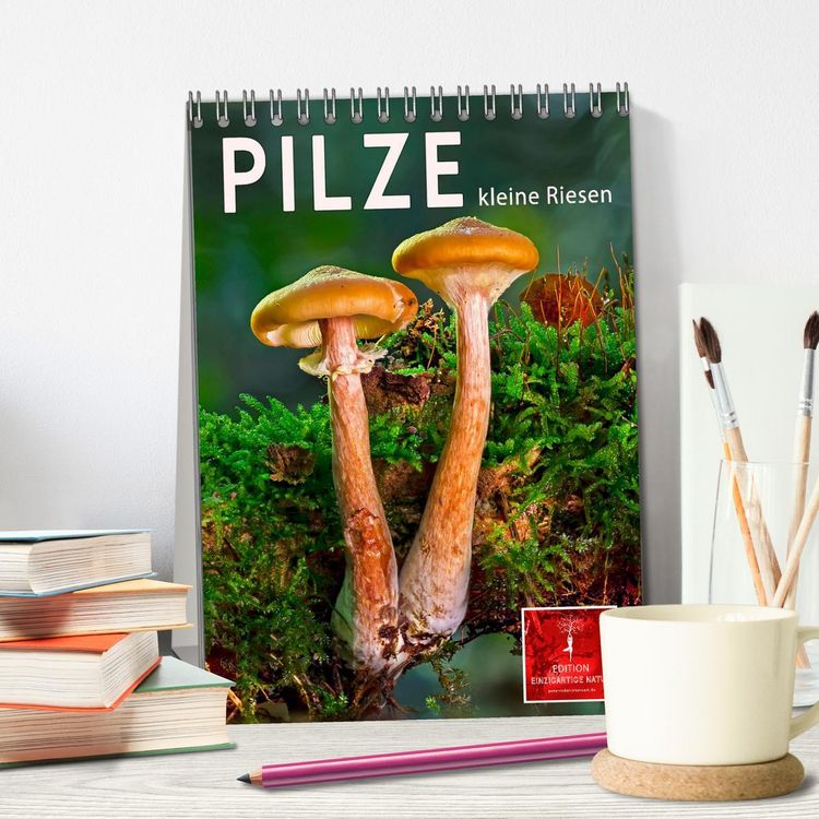 Produktbild: Pilze - kleine Riesen (Tischkalender 2026 DIN A5 hoch), CALVENDO Monatskalender
