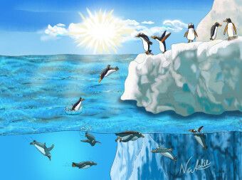 Produktbild: CALVENDO Puzzle Pinguin Sprung, ein H&uuml;pfer ins kalte Nass | 2000 Teile Lege-Gr&ouml;&szlig;e 90x67cm Foto-Puzzle f&uuml;r gl&uuml;ckliche Stunden