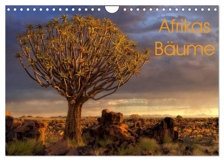Produktbild: Afrikas B&auml;ume (Wandkalender 2026 DIN A4 quer), CALVENDO Monatskalender