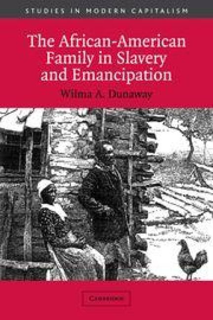 Produktbild: The African-American Family in Slavery and Emancipation