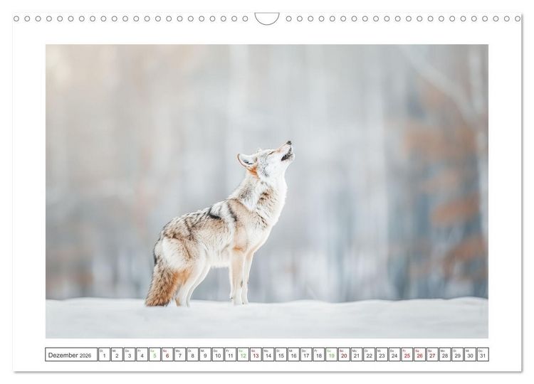 Produktbild: Naturparadies Wald (Wandkalender 2026 DIN A3 quer), CALVENDO Monatskalender