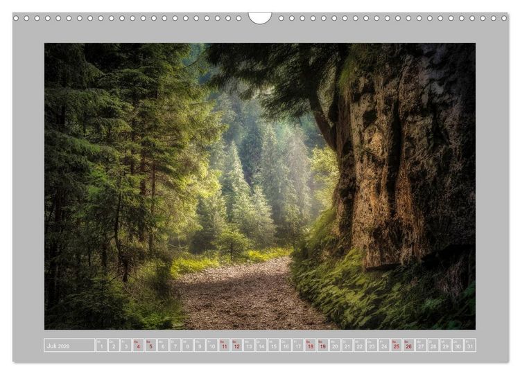 Produktbild: Wald im Licht (Wandkalender 2026 DIN A3 quer), CALVENDO Monatskalender