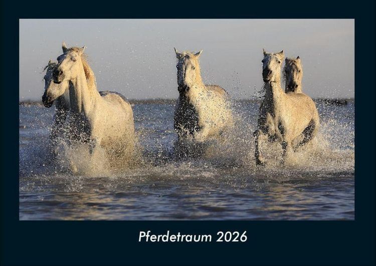 Produktbild: Pferdetraum 2026 Fotokalender DIN A4