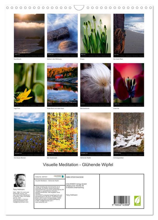 Produktbild: Visuelle Meditation - Gl&uuml;hende Wipfel (Wandkalender 2026 DIN A3 hoch), CALVENDO Monatskalender