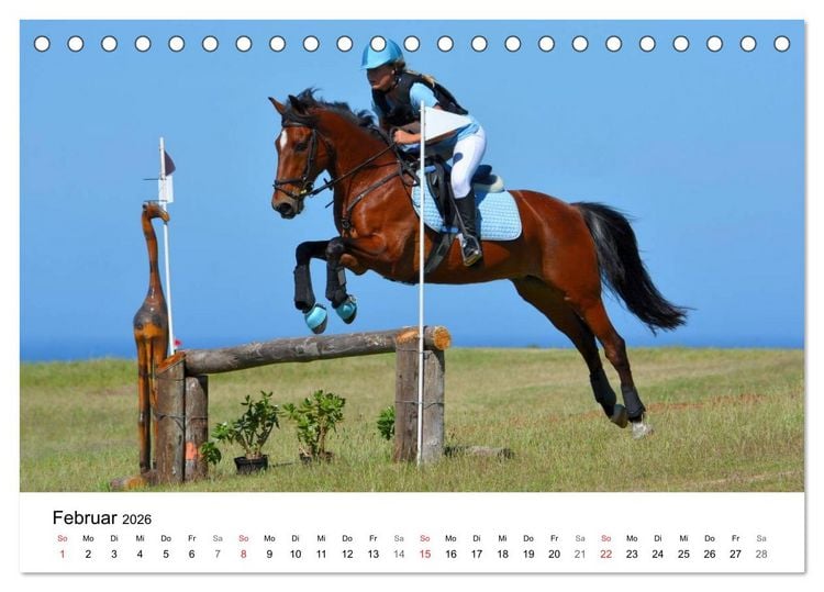 Produktbild: Vielseitigkeitsreiten (Tischkalender 2026 DIN A5 quer), CALVENDO Monatskalender