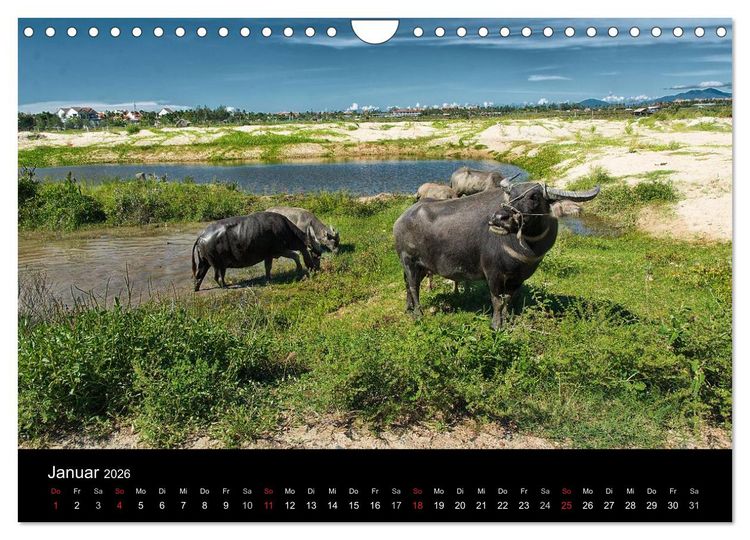 Produktbild: Vietnam Abenteuerreise (Wandkalender 2026 DIN A4 quer), CALVENDO Monatskalender