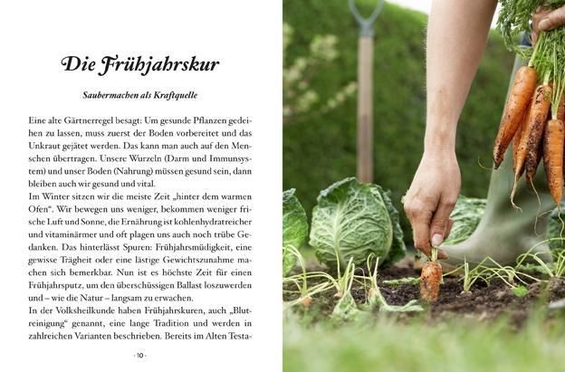 Produktbild: Das kleine Buch: Hausmittel zur inneren Reinigung
