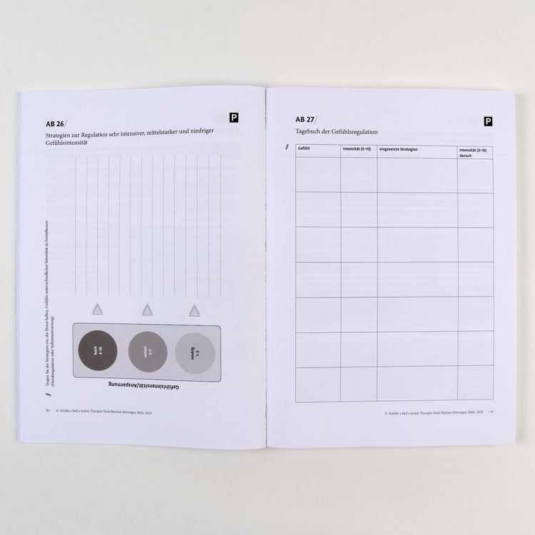 Produktbild: Therapie-Tools Bipolare St&ouml;rungen