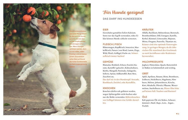 Produktbild: Gesund & lecker: Kochen f&uuml;r den Hund