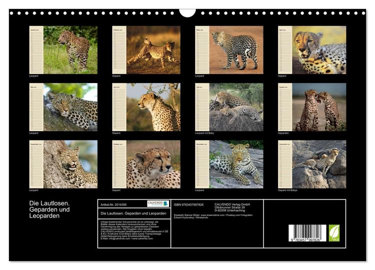 Produktbild: Die Lautlosen. Geparden und Leoparden (Wandkalender 2026 DIN A3 quer), CALVENDO Monatskalender