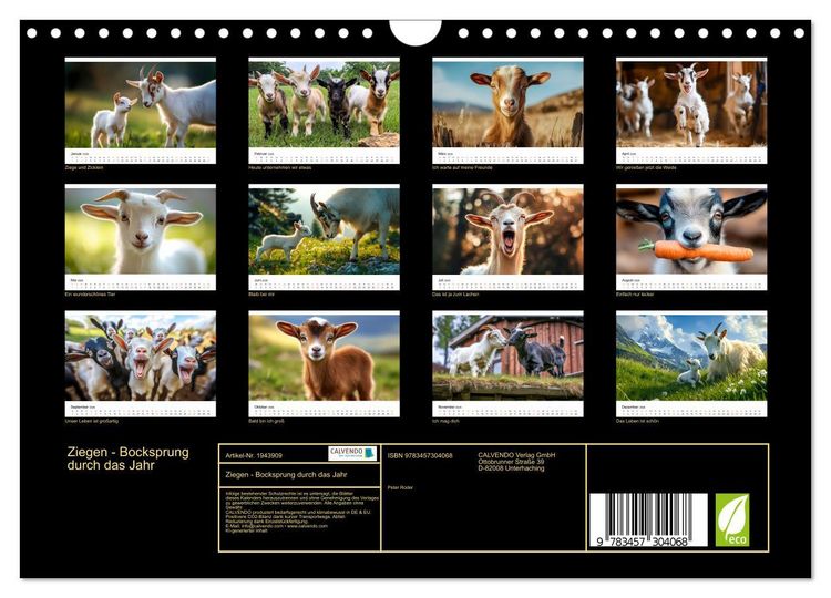 Produktbild: Ziegen - Bocksprung durch das Jahr (Wandkalender 2026 DIN A4 quer), CALVENDO Monatskalender